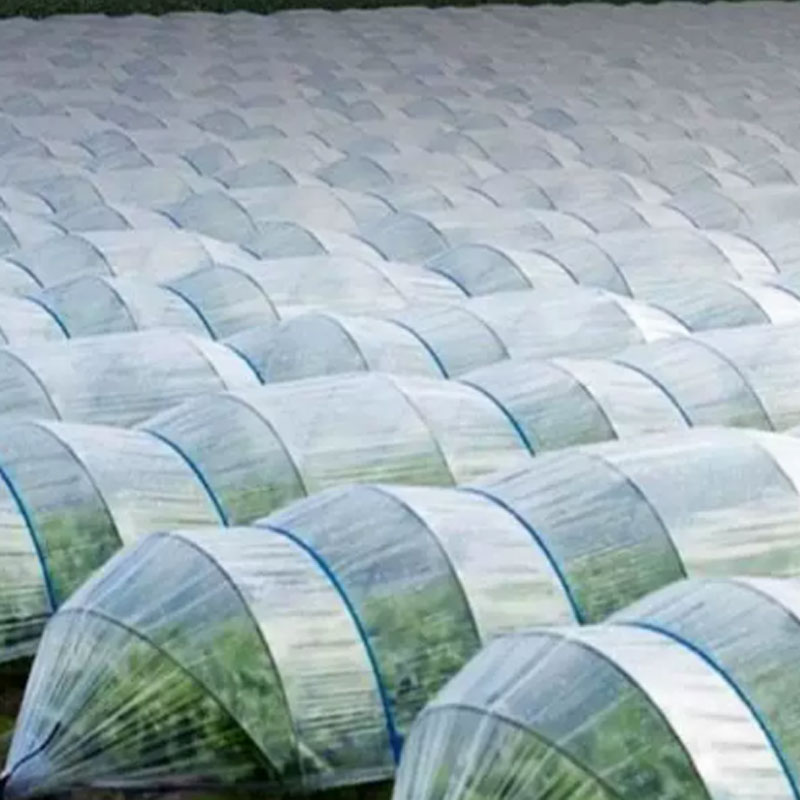Polypropylene (PP) Properties and Applications